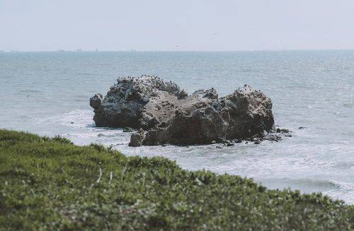 Мгновения из путешествия к мысу Такиль.