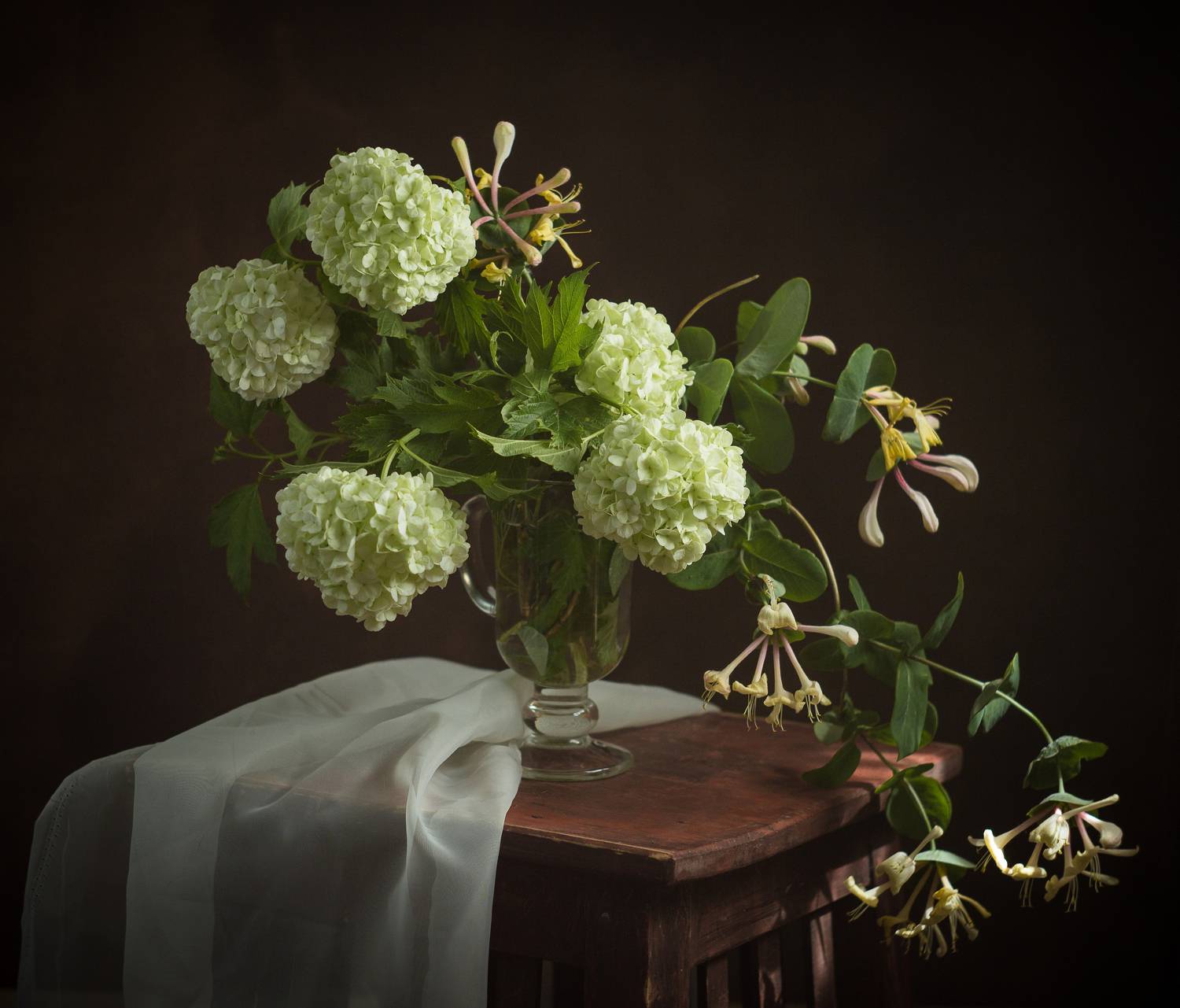 , Хвойнова Елена