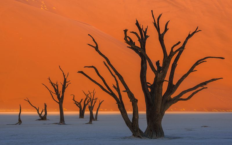 SURREAL NAMIBIA фото превью