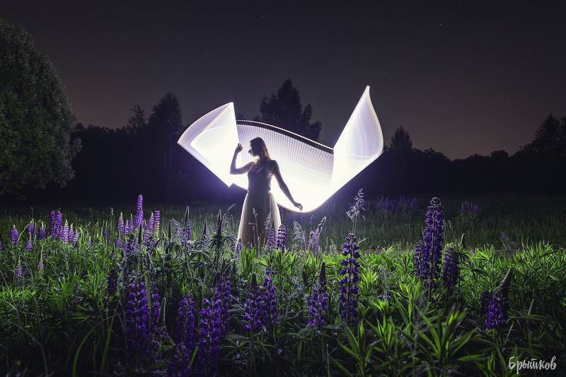 Фризлайт фото превью