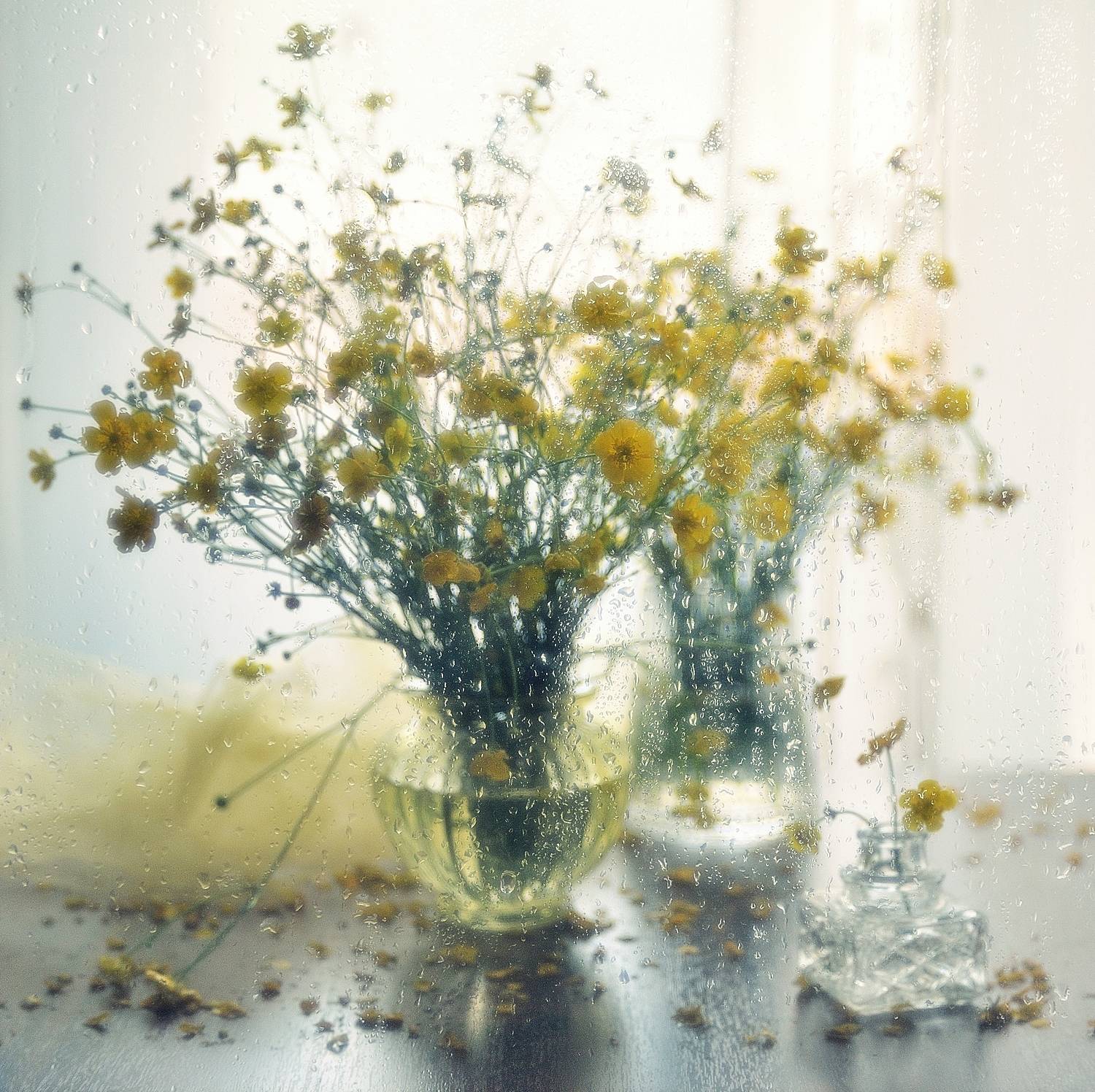 натюрморт,цветы,капли,стекло,лютики, Наталия К