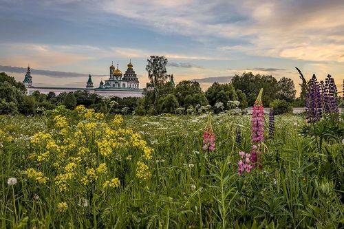 Перед грозой
