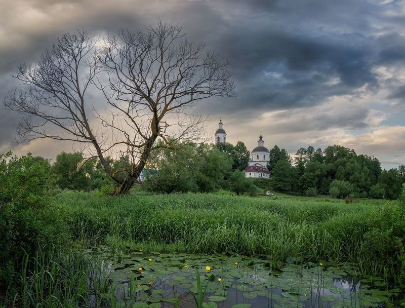 фото превью