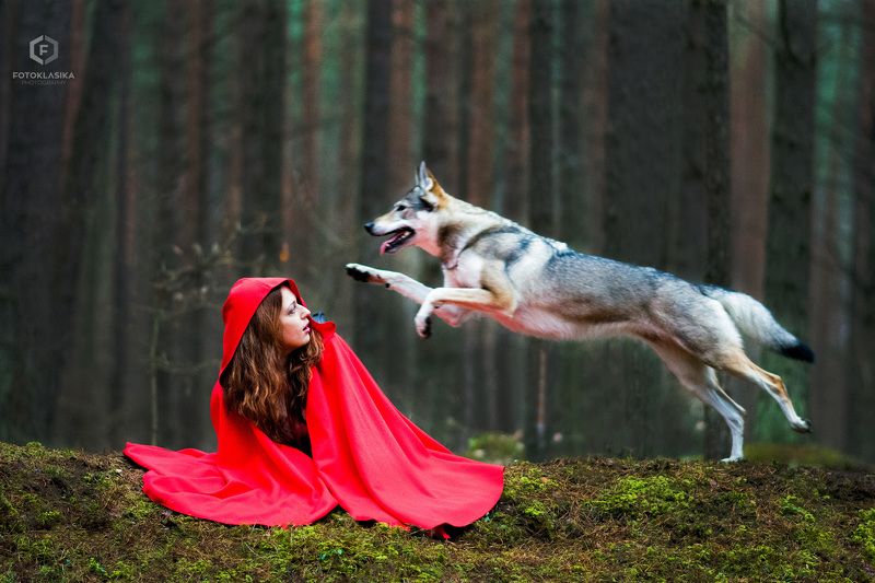 portrait, littleredridinghood, forest, dogs, dog, model, red, nikon, d7100, 85mm Little Red Riding Hood vol1 фото превью