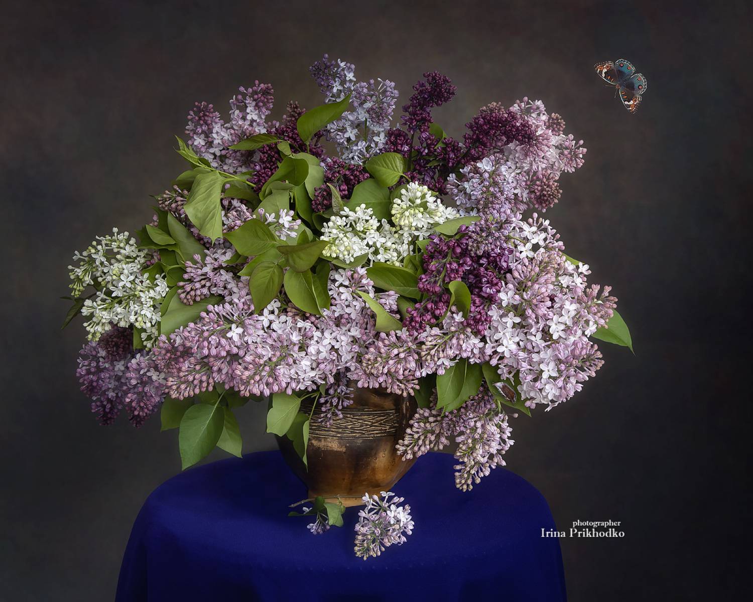 натюрморт, цветы, сирень, букеты, , Приходько Ирина