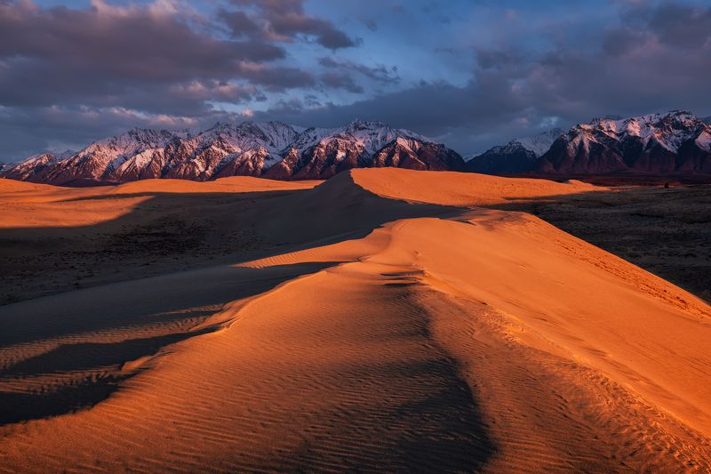 Пустынная долина Кодара...  фото превью