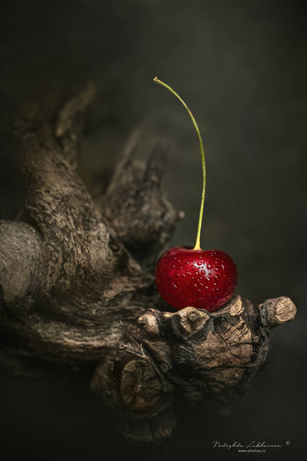 , Захарова Надежда