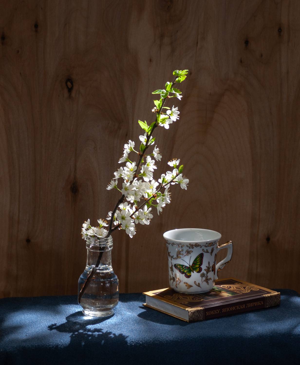 , Елена Павлюк