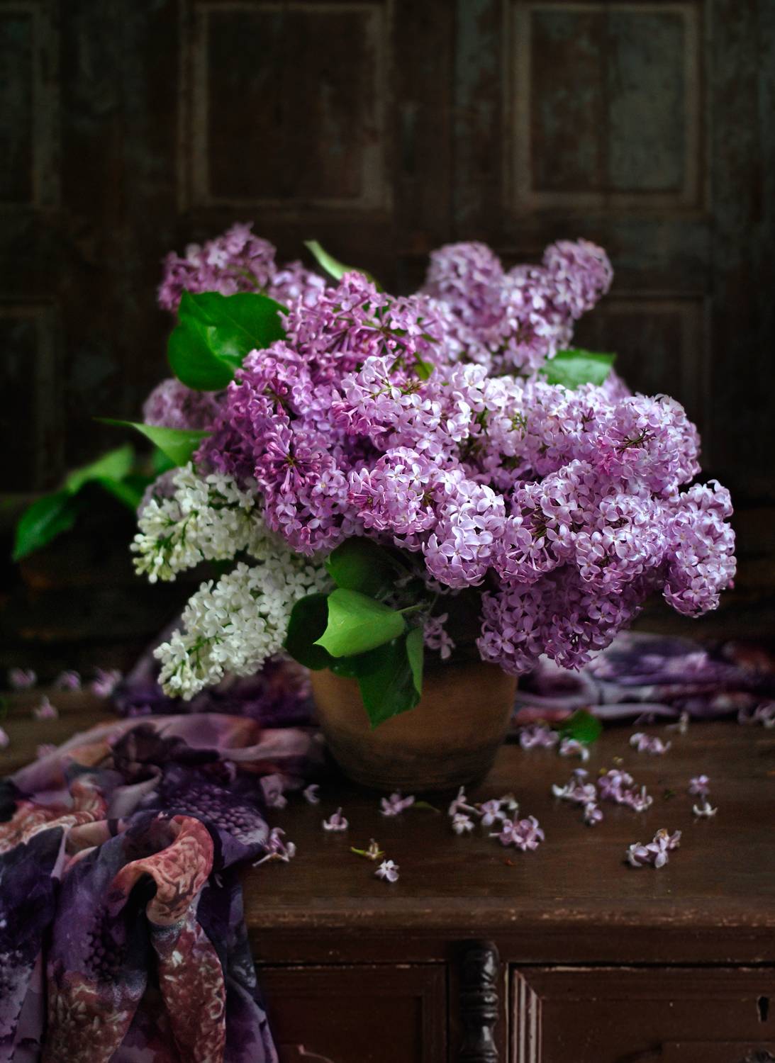 , Elena Pankova