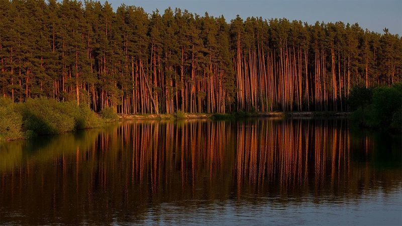 Летний вечер фото превью