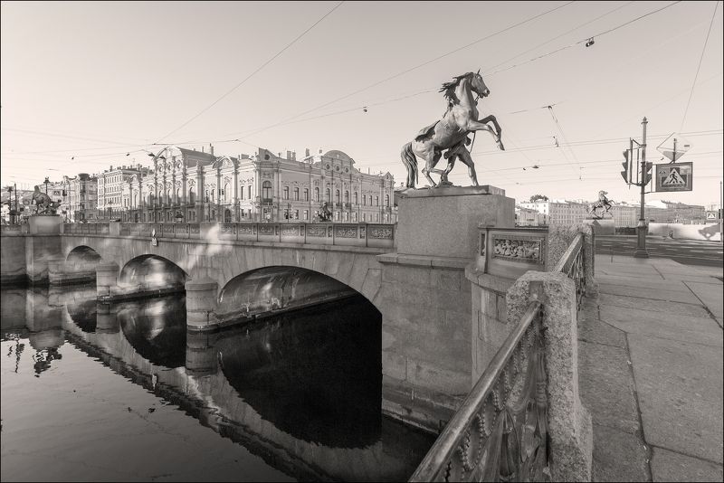 Утренние кони фото превью