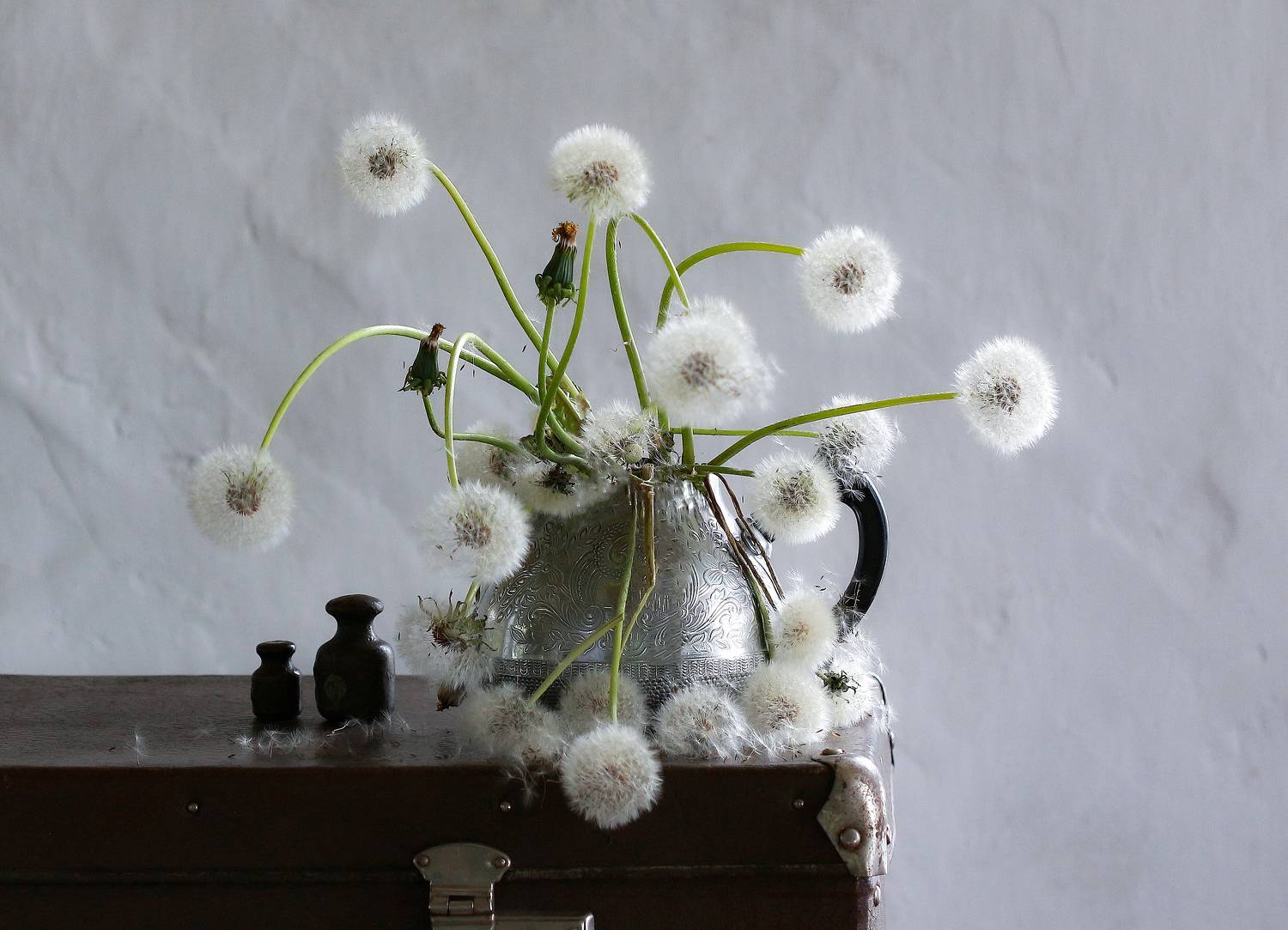 , Наталья Казанцева