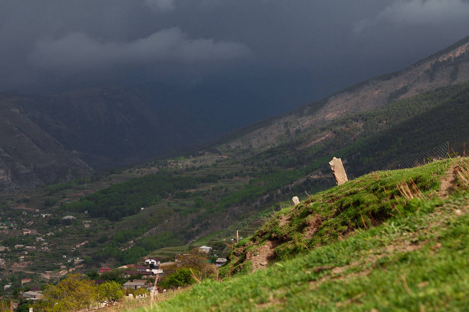 , Медведникова Мария