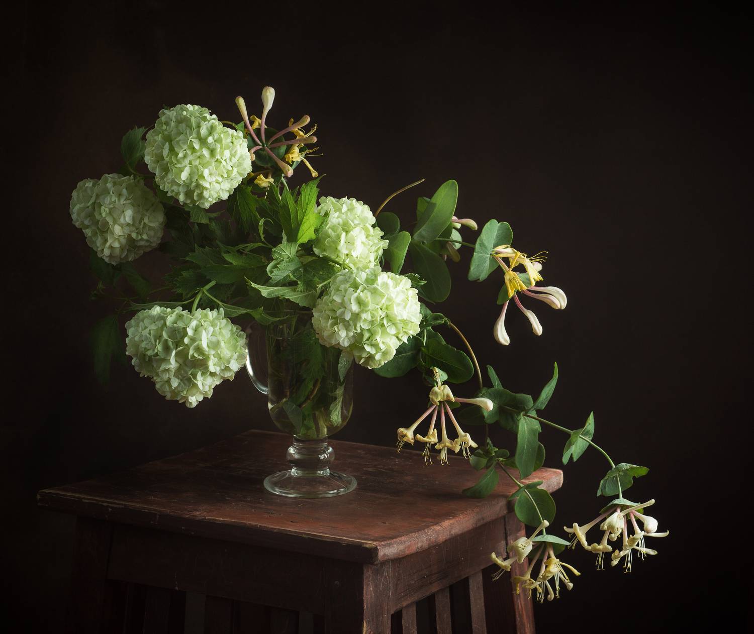 , Хвойнова Елена