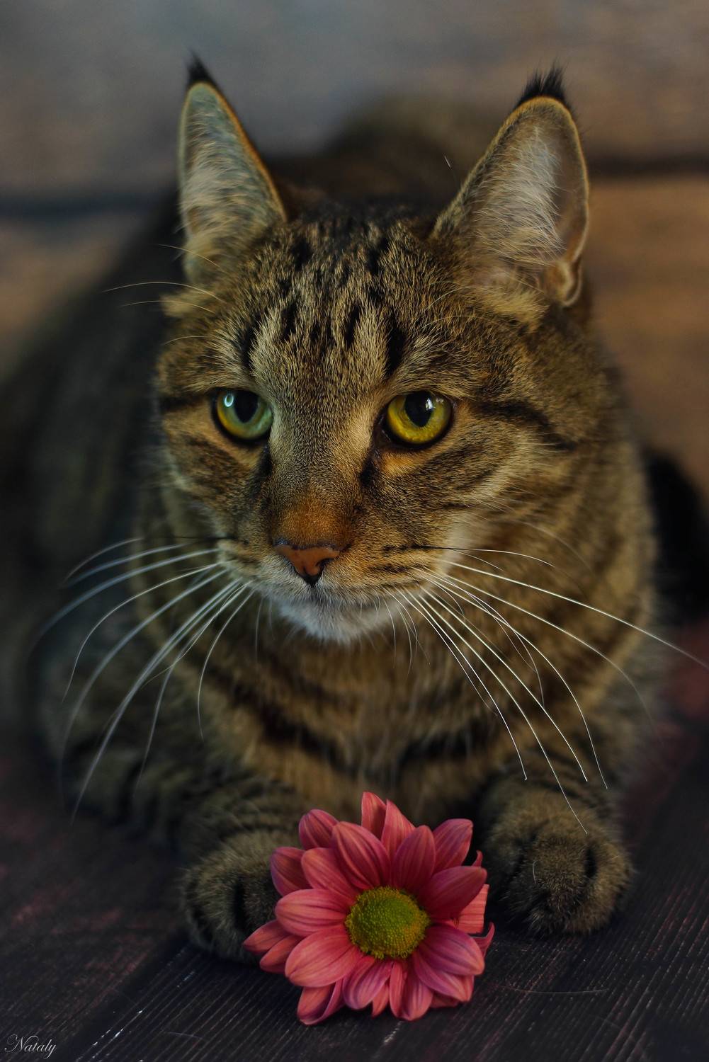 , Наталья Екимова