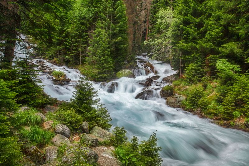 Поток фото превью