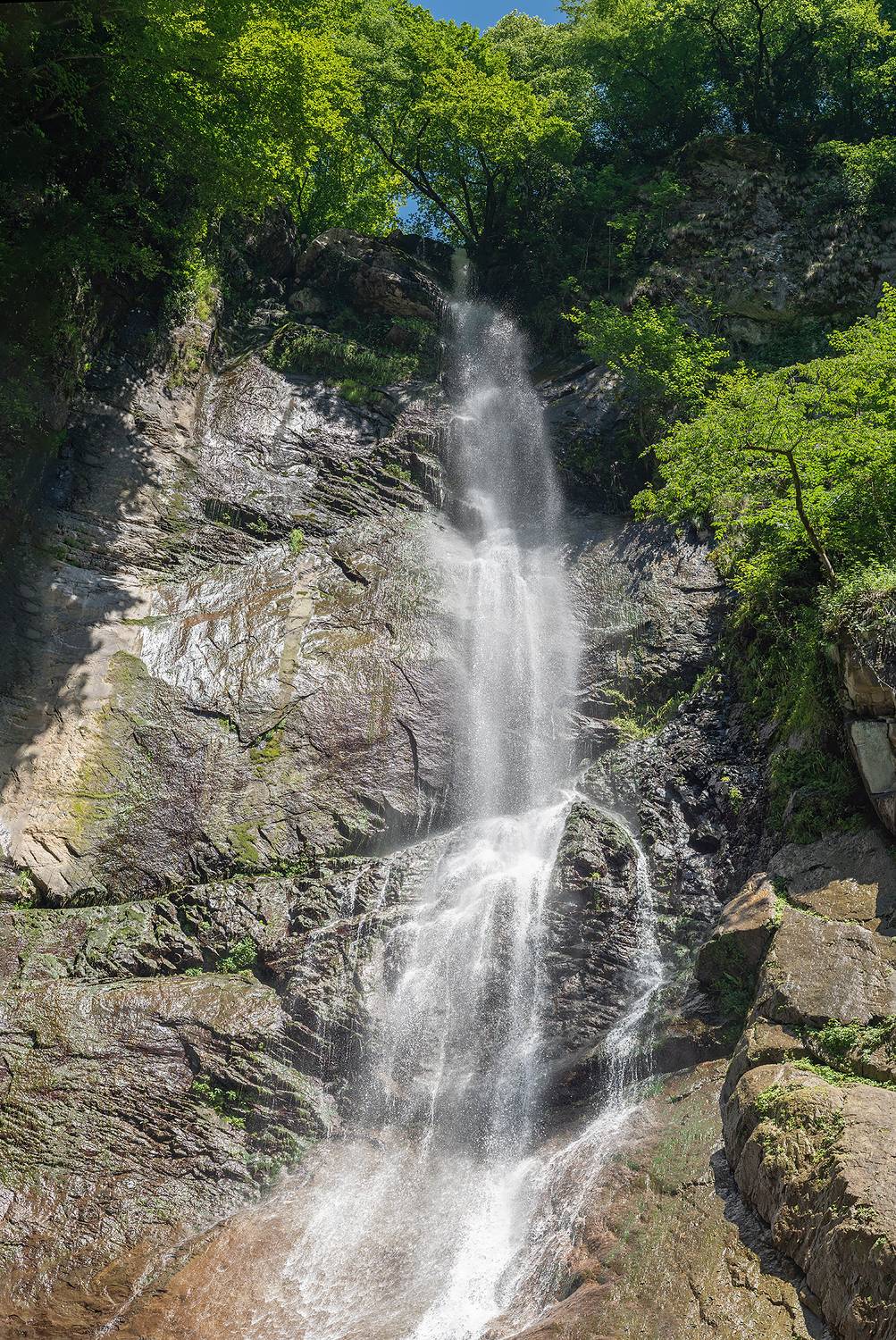 , Куликова Ирина