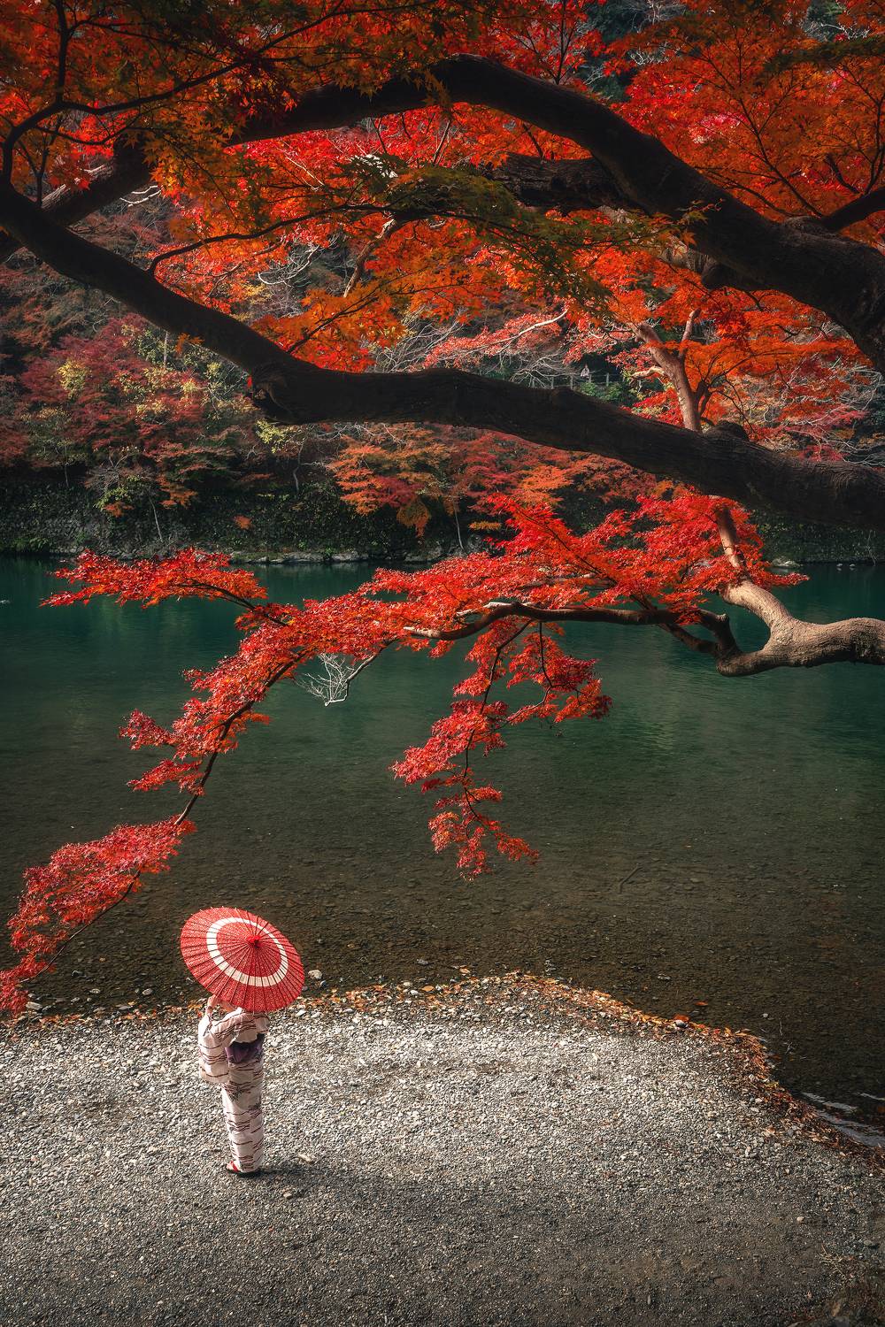 , Козаченко Алексей