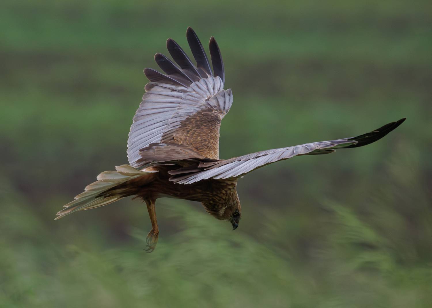 , Гильманов Артур