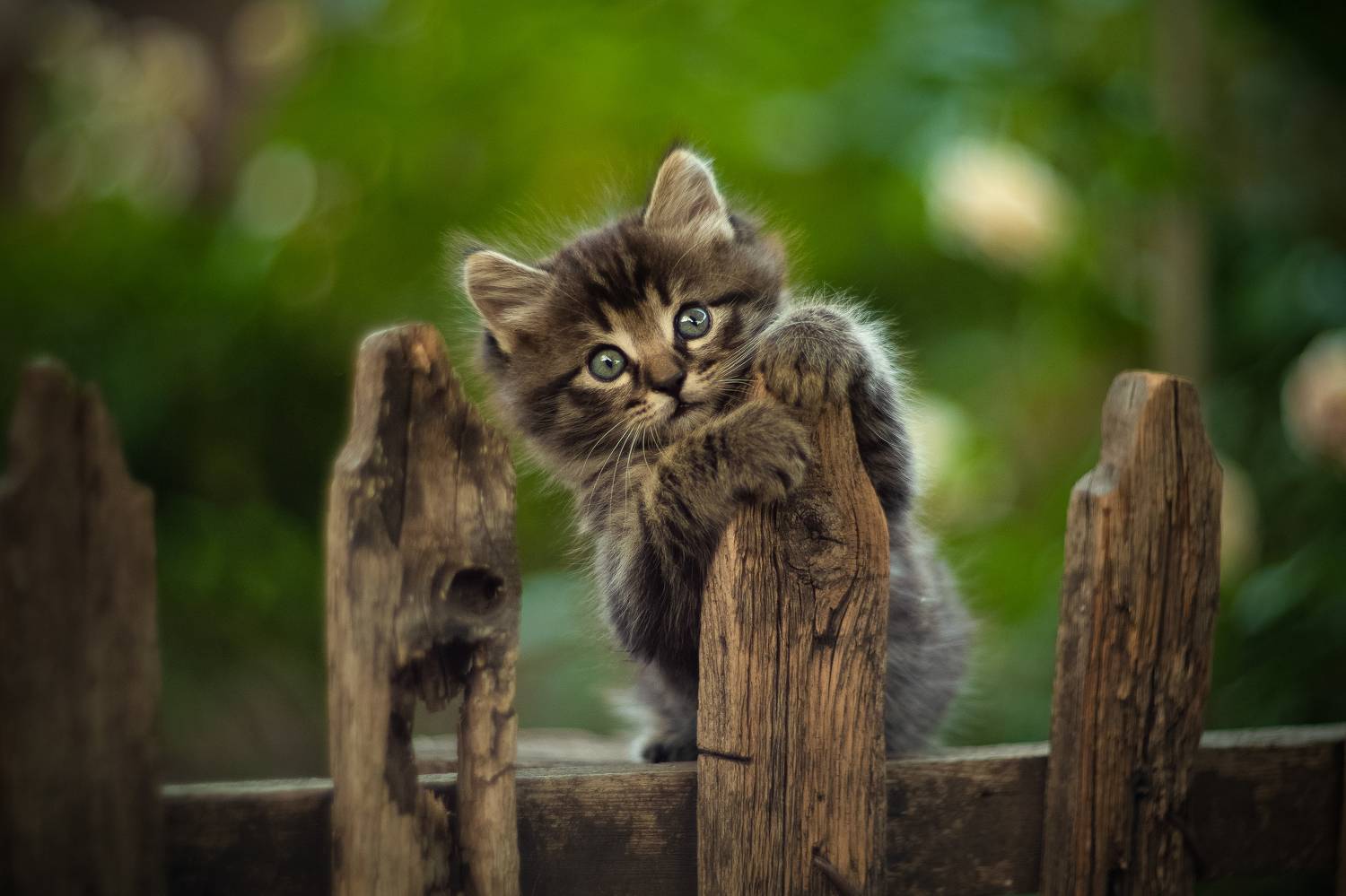 , Коротун Юрий