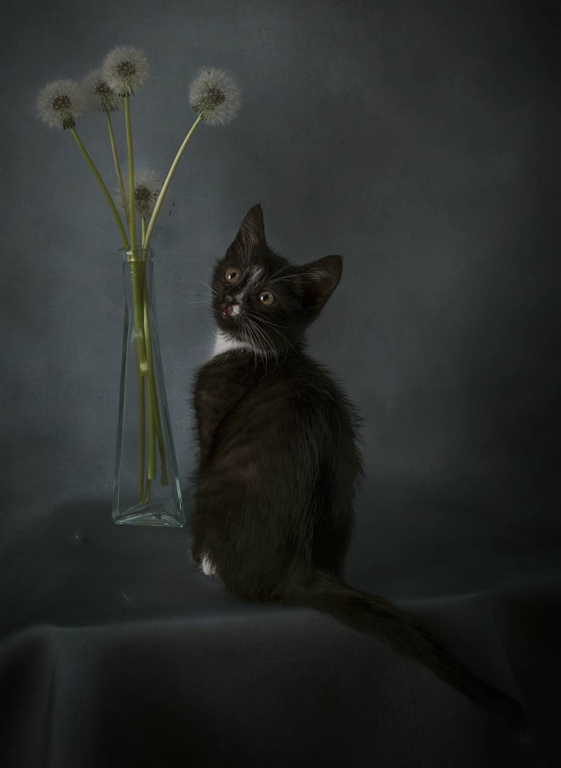 , Александр Чазов