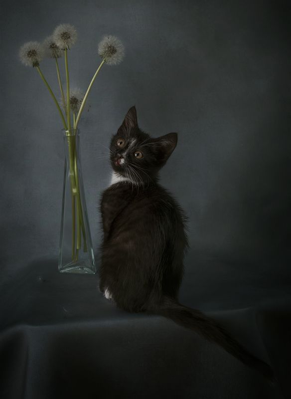 Котенок и цветы фото превью