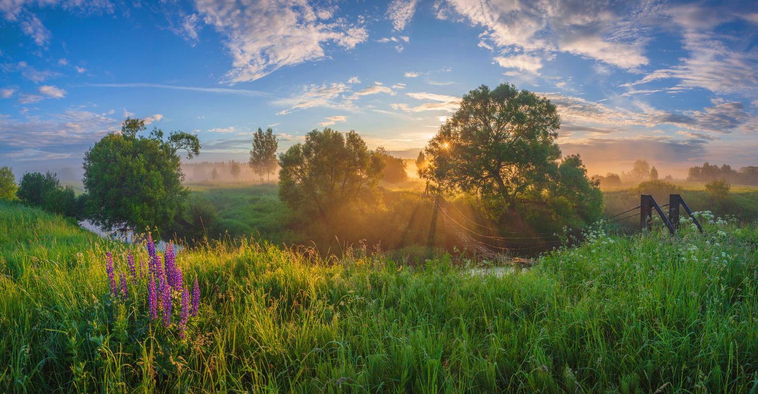 утро, туман, рассвет , мостик , река, Свистков Александр