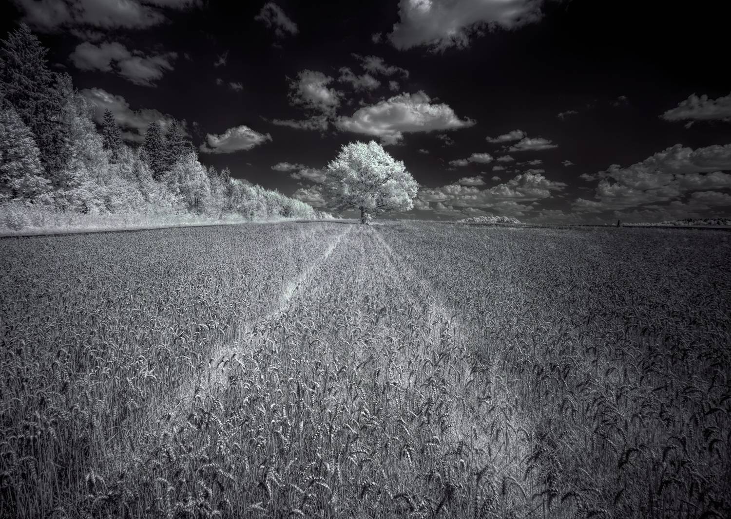 ,  Sixten (Сергей)