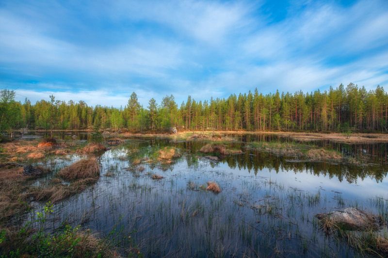 утро в Мурманской области фото превью