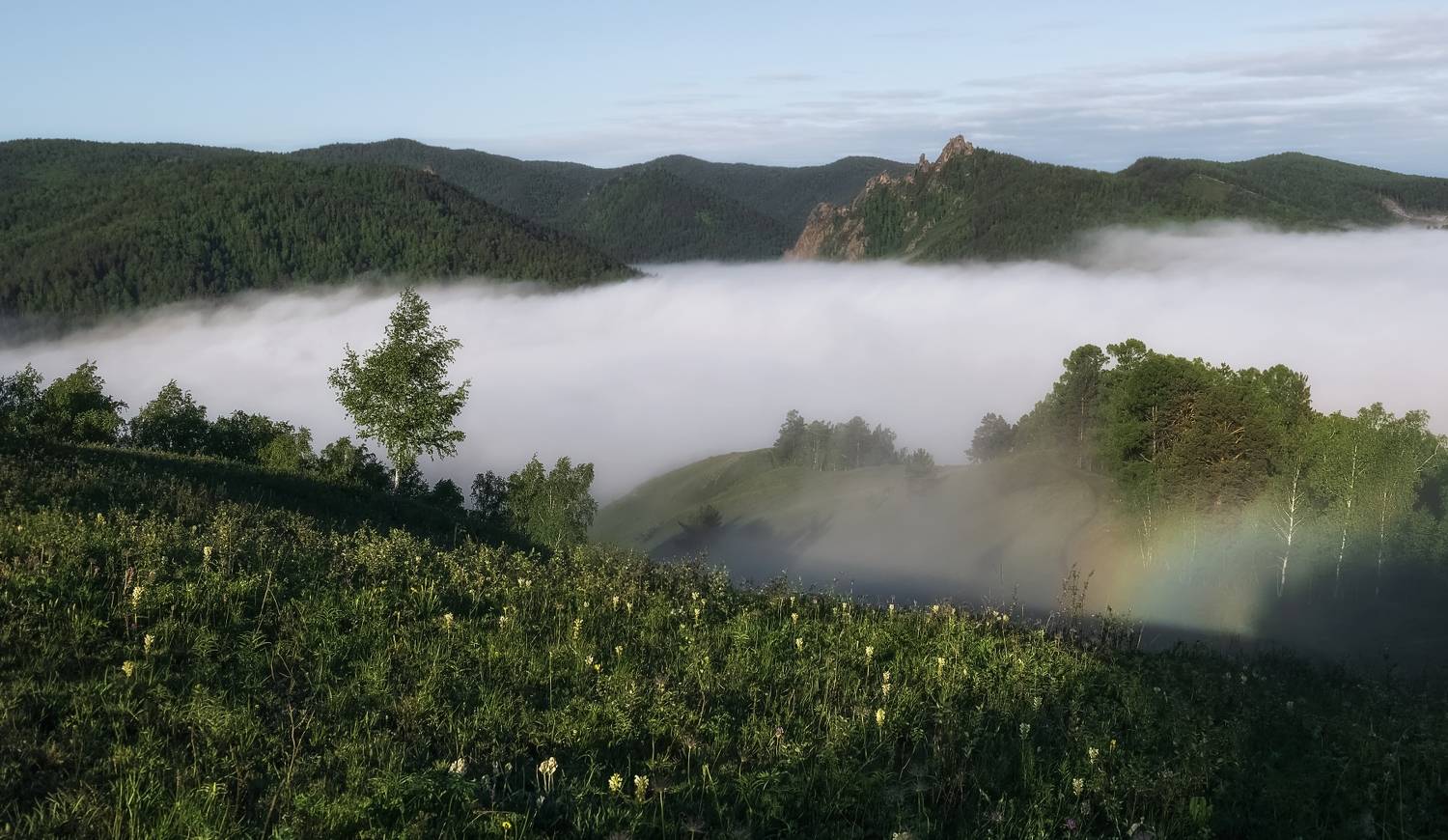 торгашинский хребет, утро, туман, река базаиха, Фомина Марина