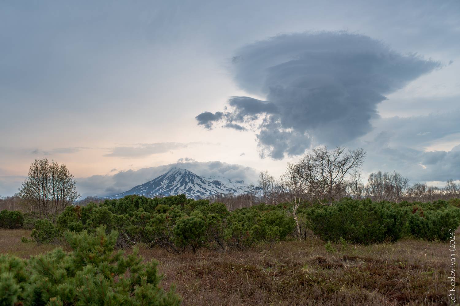 , Козлов Иван