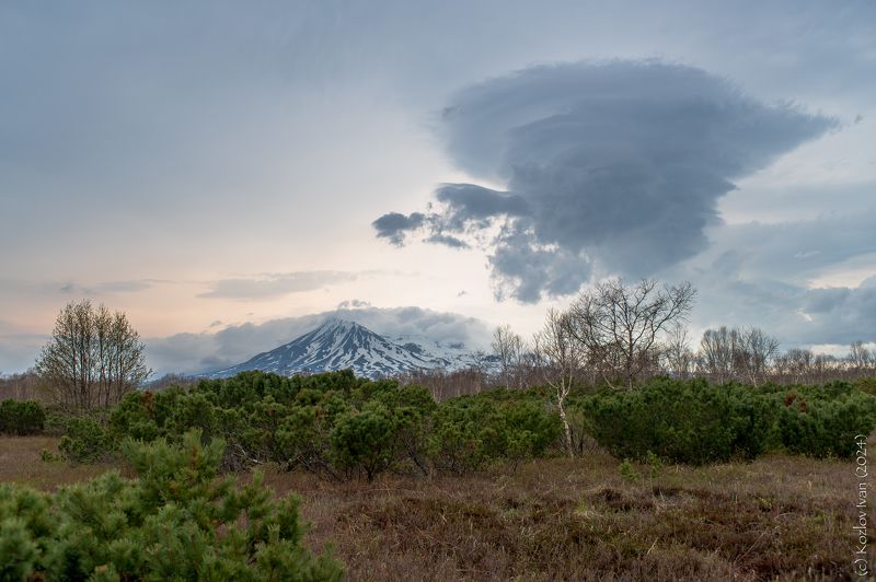 Дома фото превью