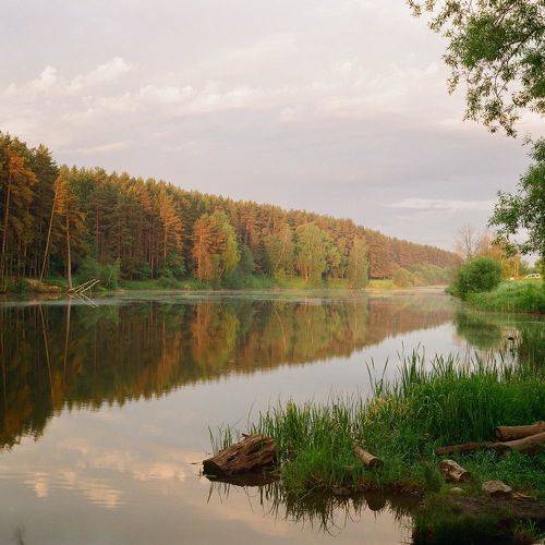 Июньское утро