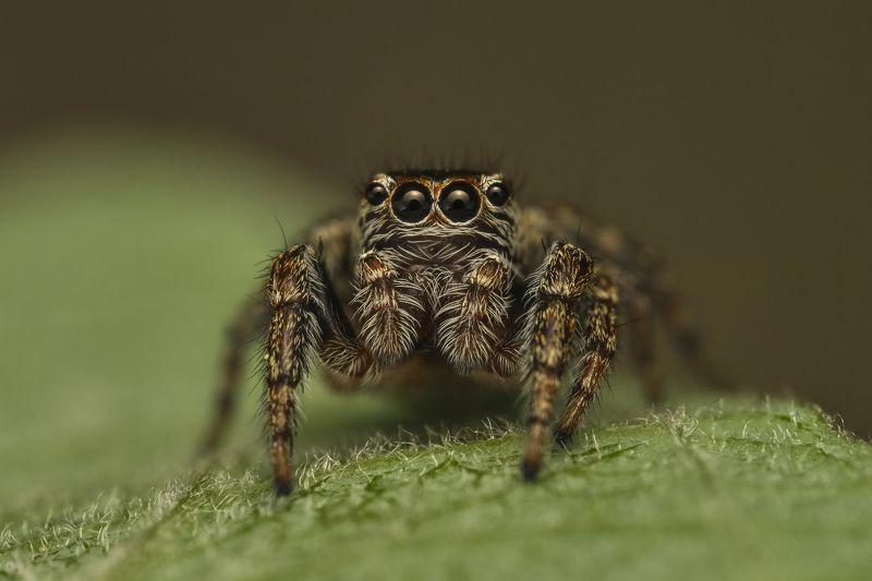 Cute... :) фото превью