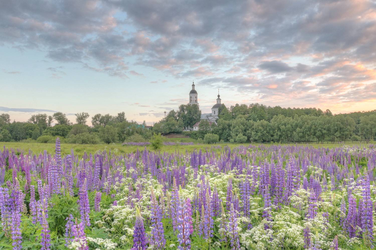 , Добролюбова Тамара