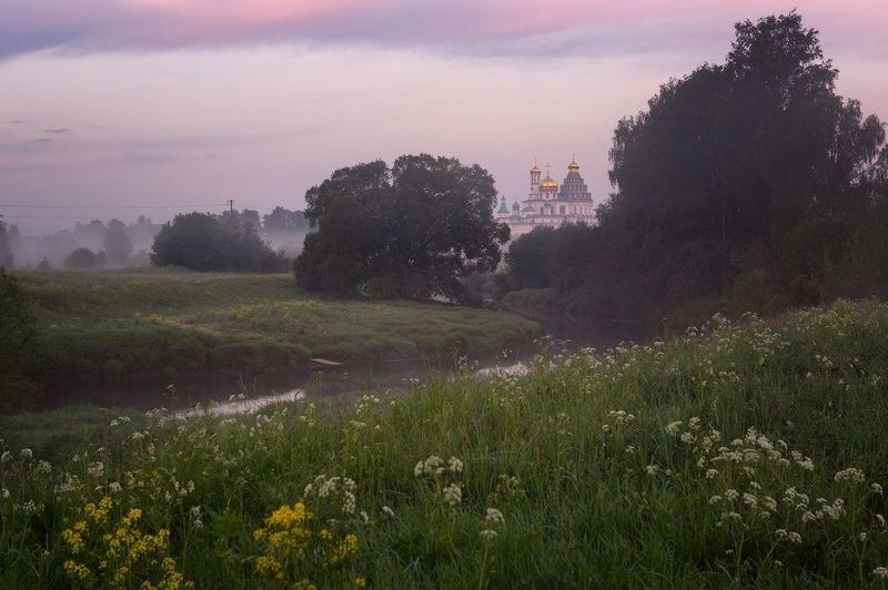 Летнее утро в Подмосковье фото превью