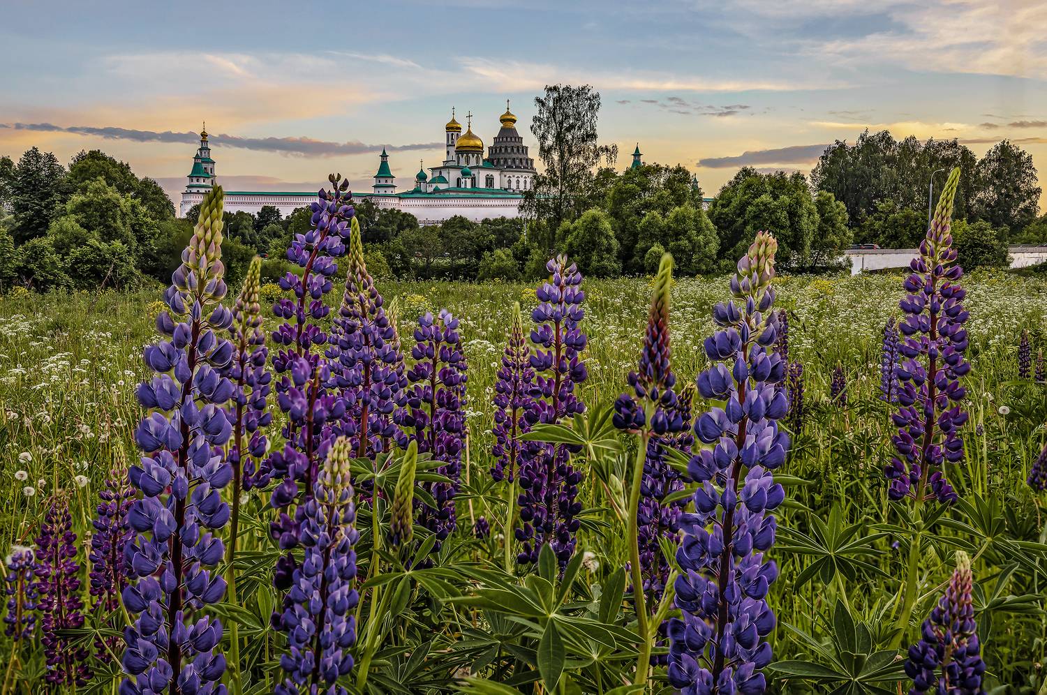 новый иерусалим, Вячеслав Бирюков