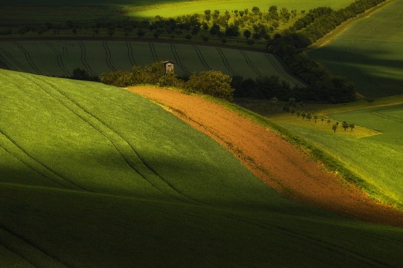 Agricultura, Field, Agriculture, Green, Day, Nature, Landscape, Moravia, Moravske-Toskansko, Rural Hovorany фото превью