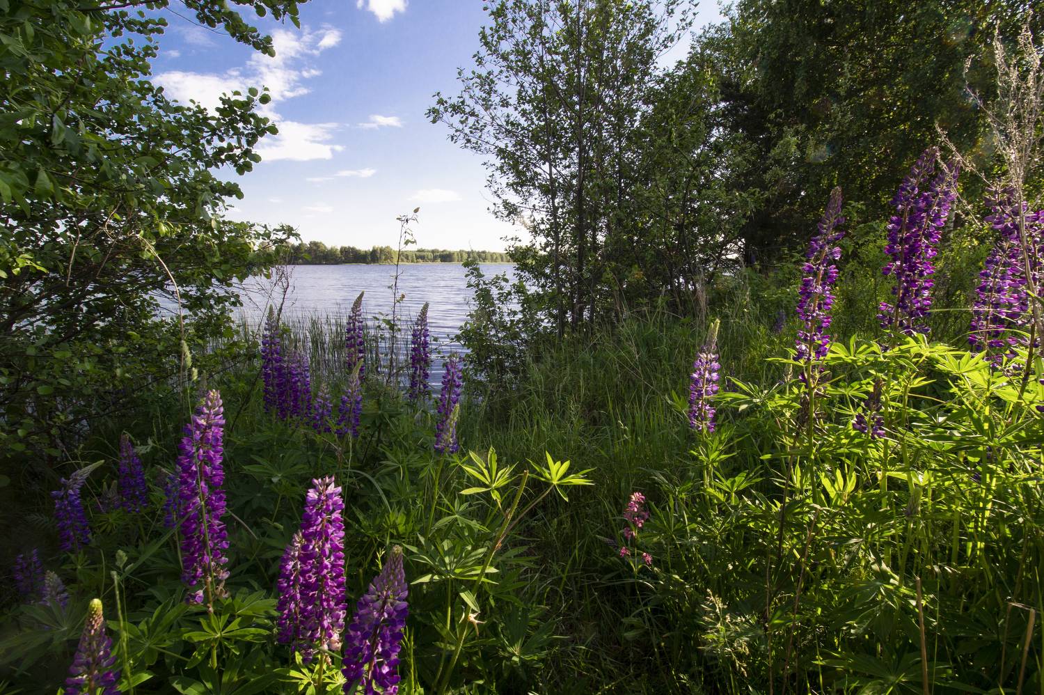 , Шитов Александр