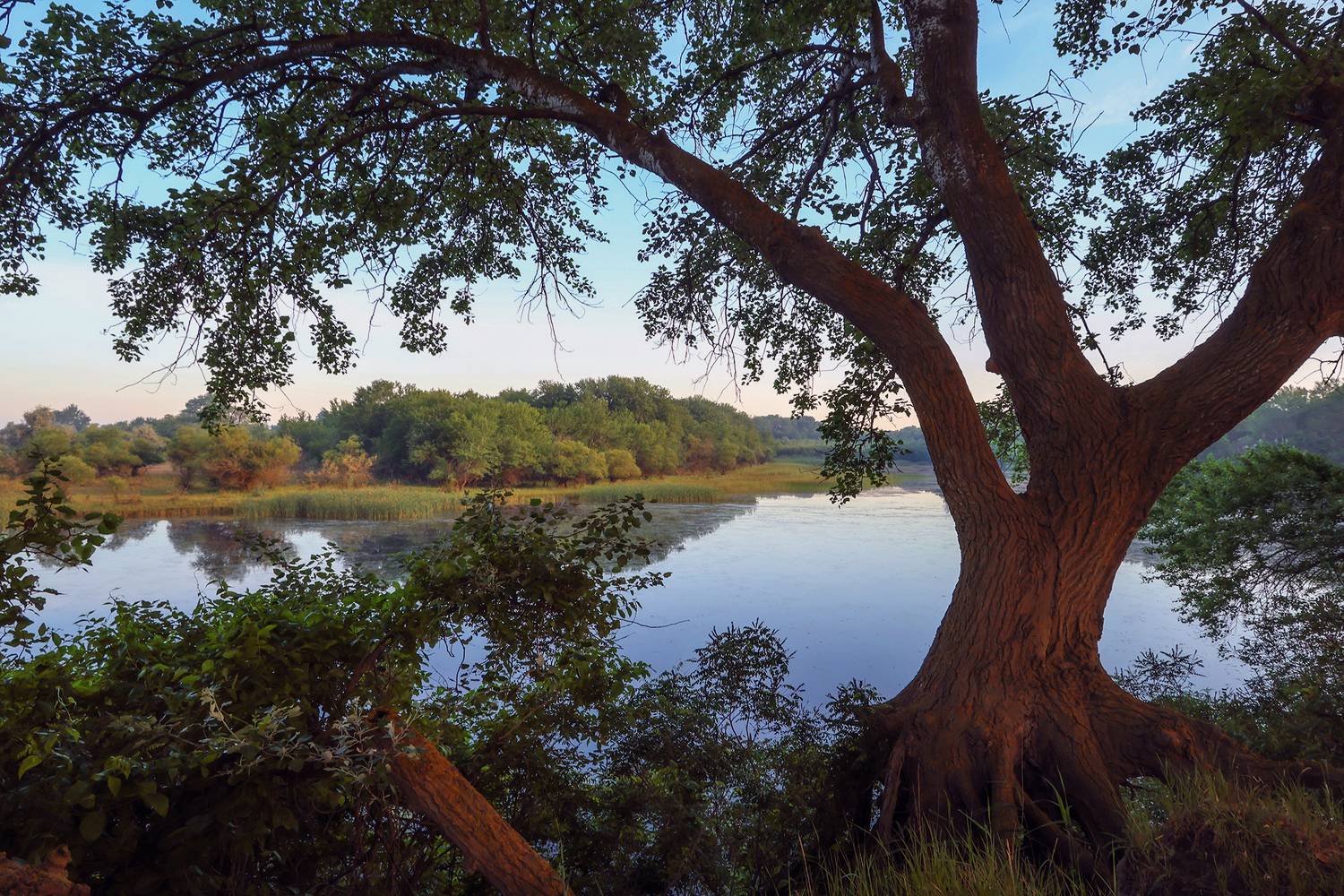 пейзаж,водоём,лето,деревья,, Magov Marat
