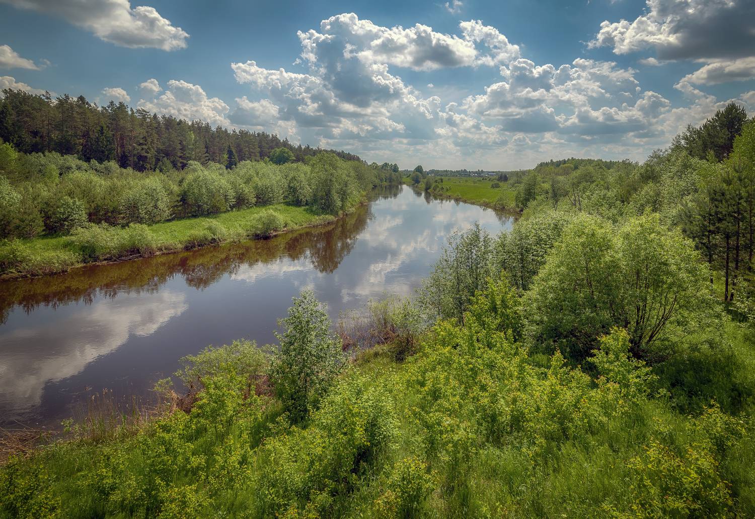 река, лес, июнь, Сергей Аникин