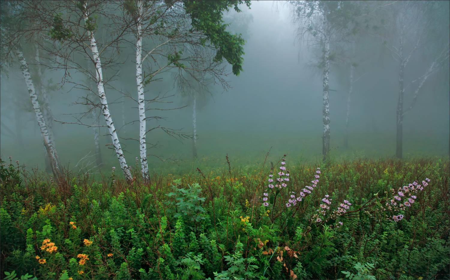 , Алексей Хахлов