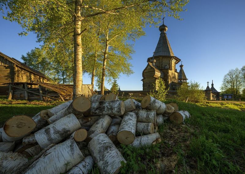 кенозерье, почозеро, погост, филипповская Берёзовые дровишки фото превью