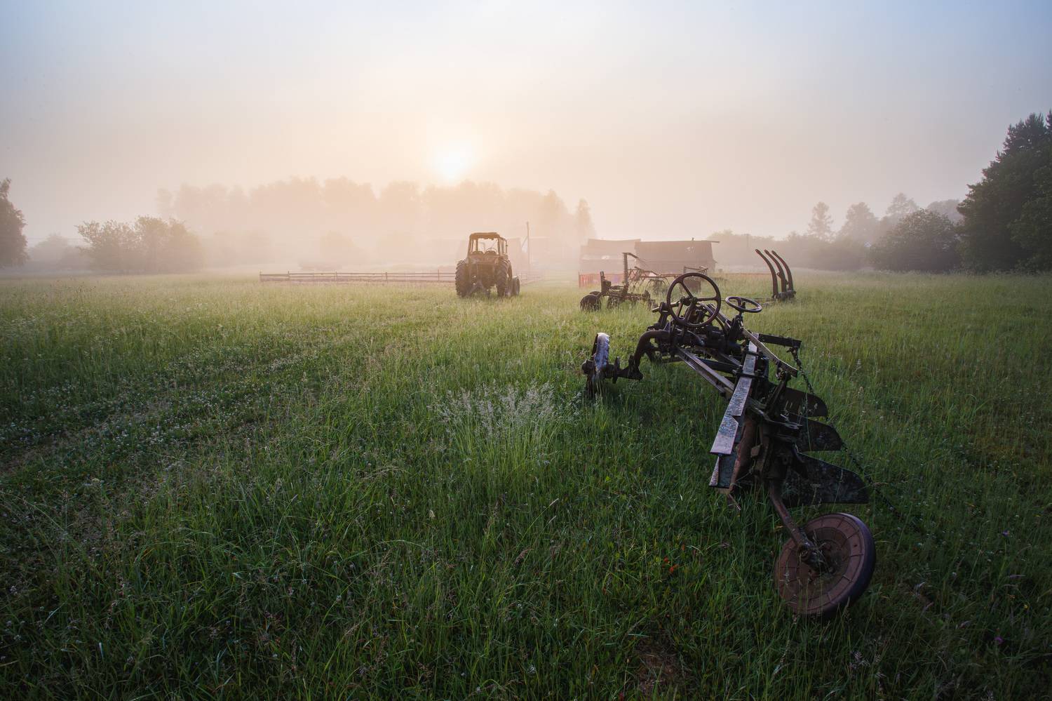 лето июнь Торбеево утро, Зеленько Дмитрий