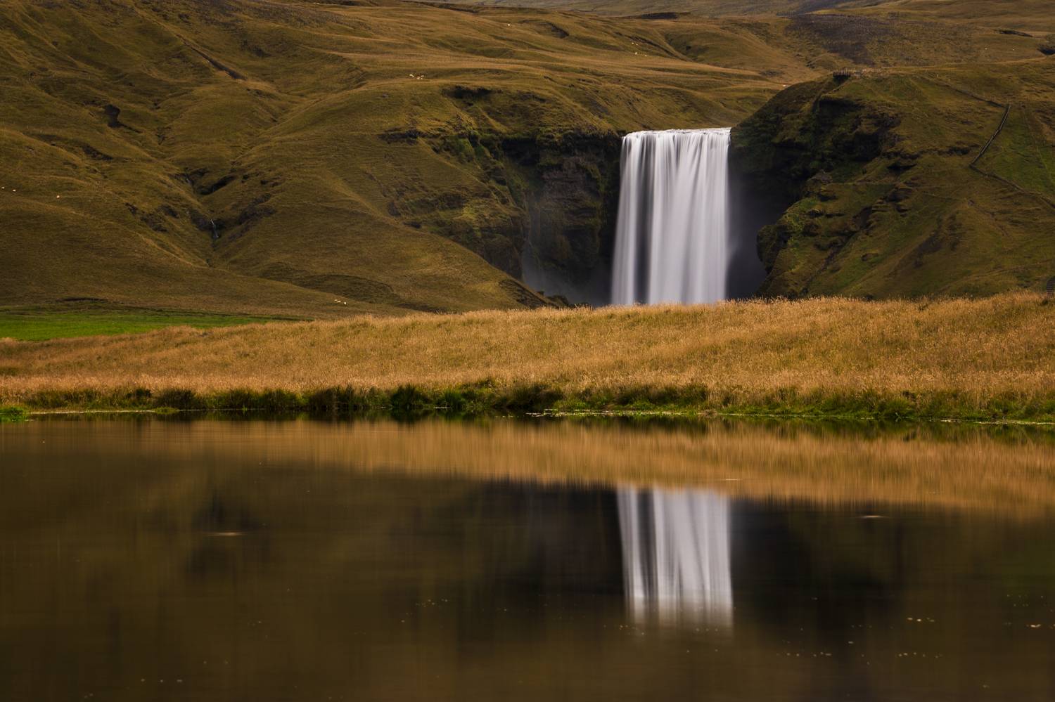 , Георгий Бычковский