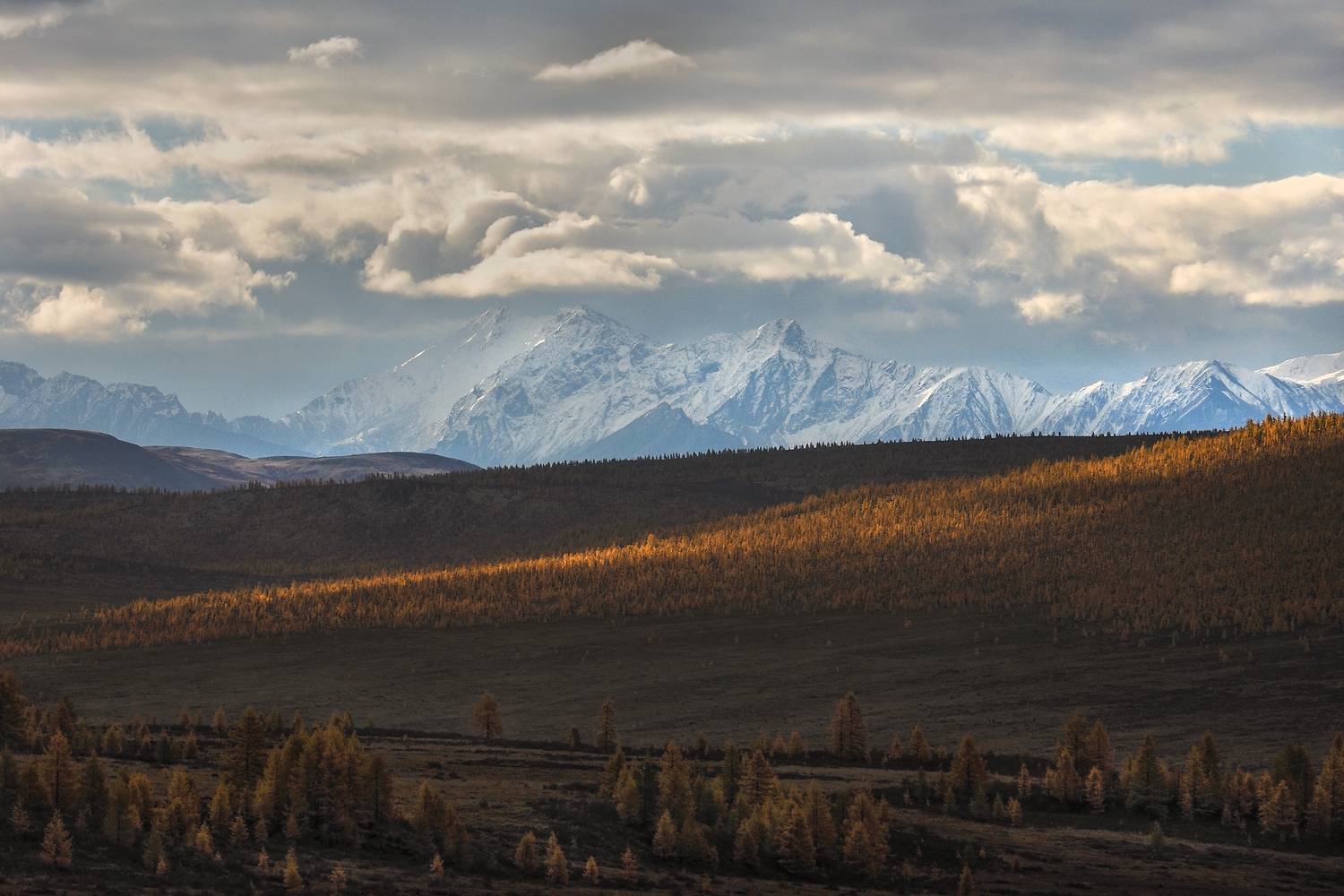 , Александр Попов