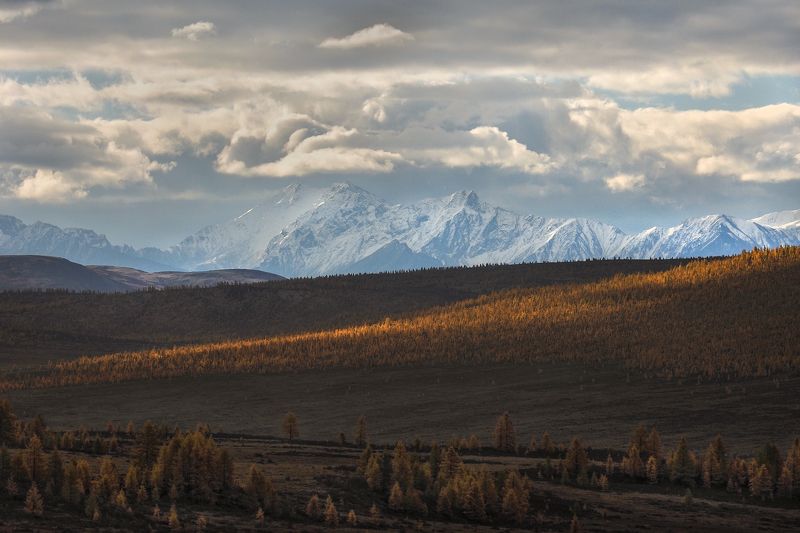 Где-то в Восточных Саянах фото превью