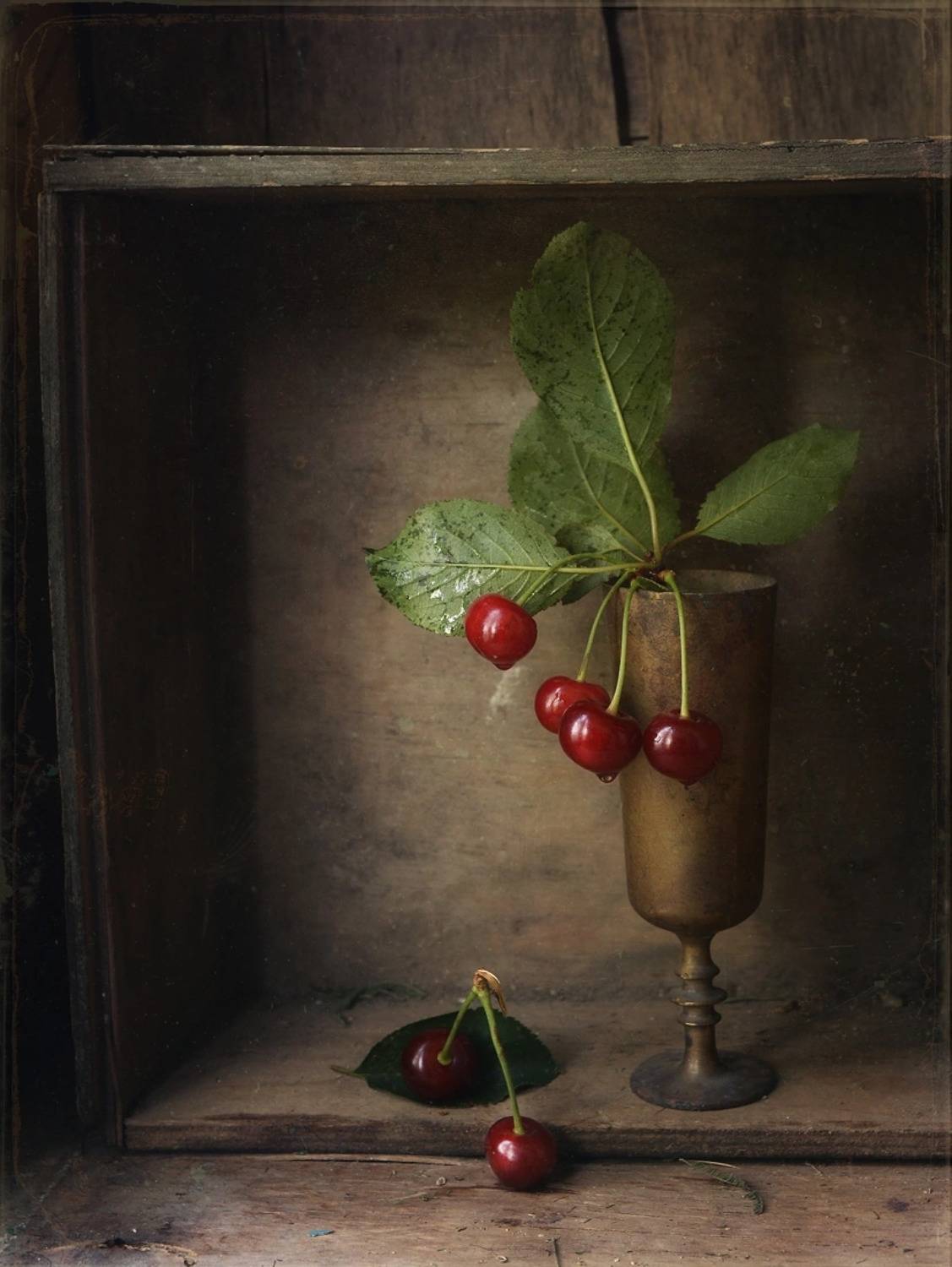 , Хромеев Александр