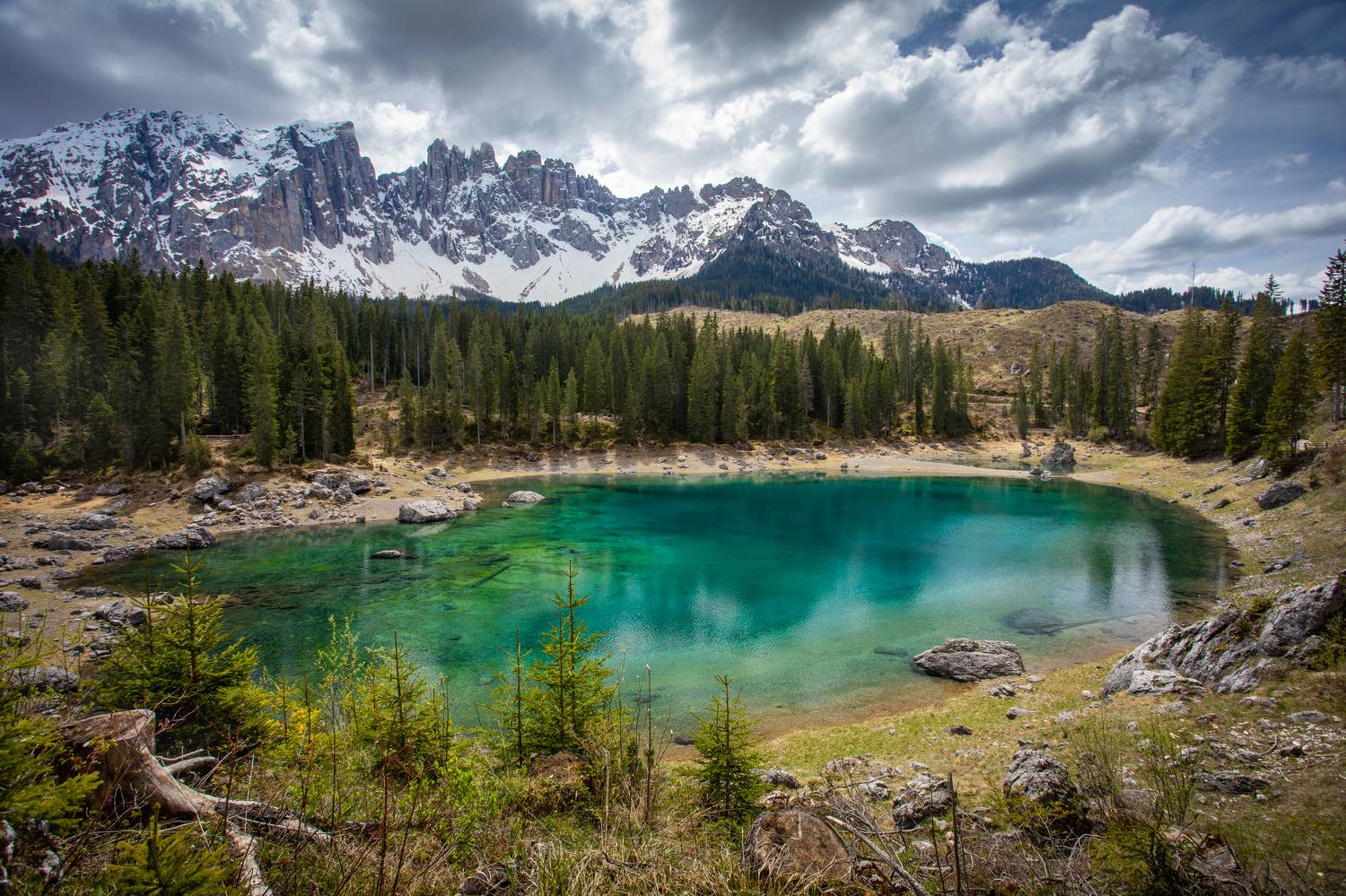 , Алекс Римский