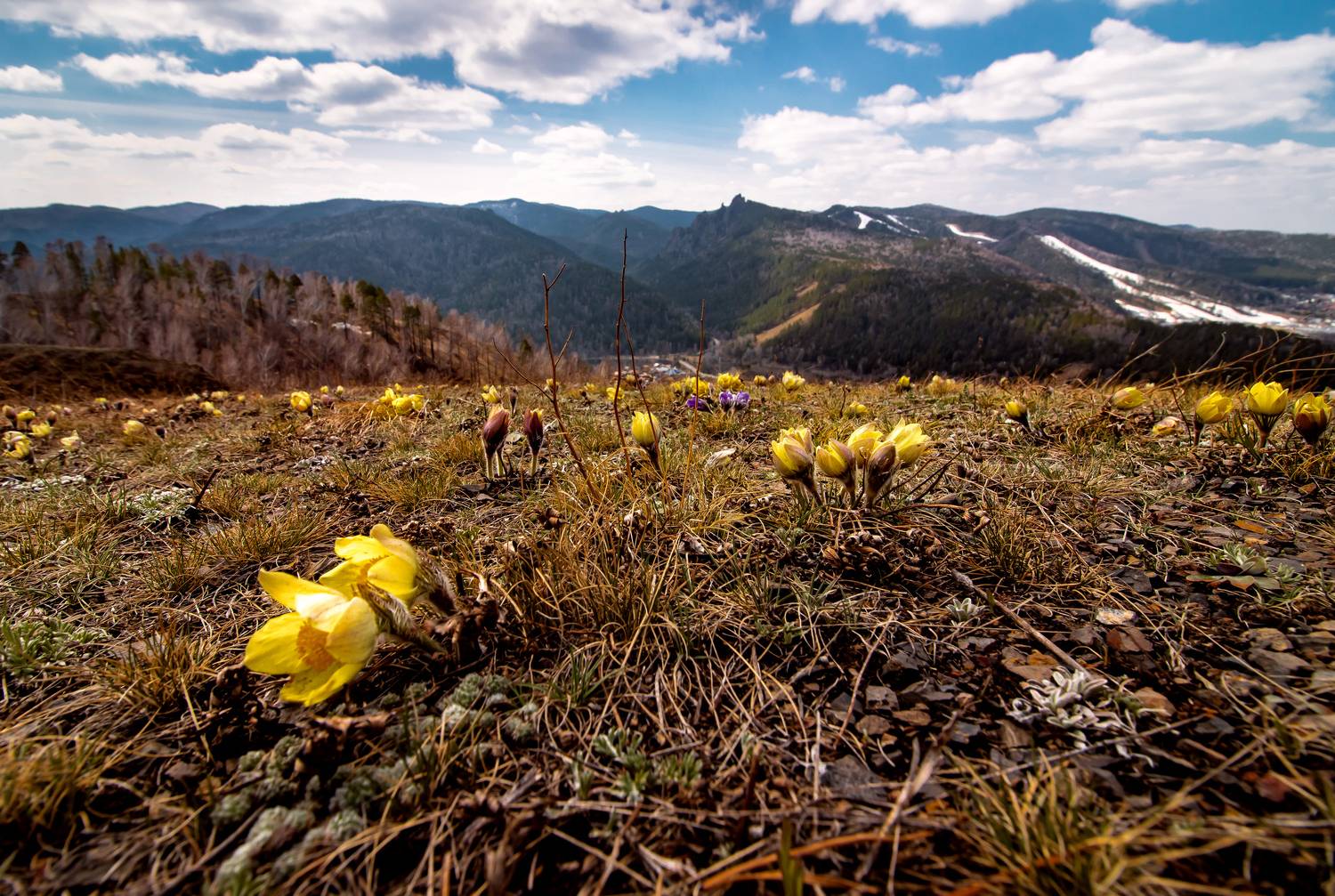 , Лапин Сергей